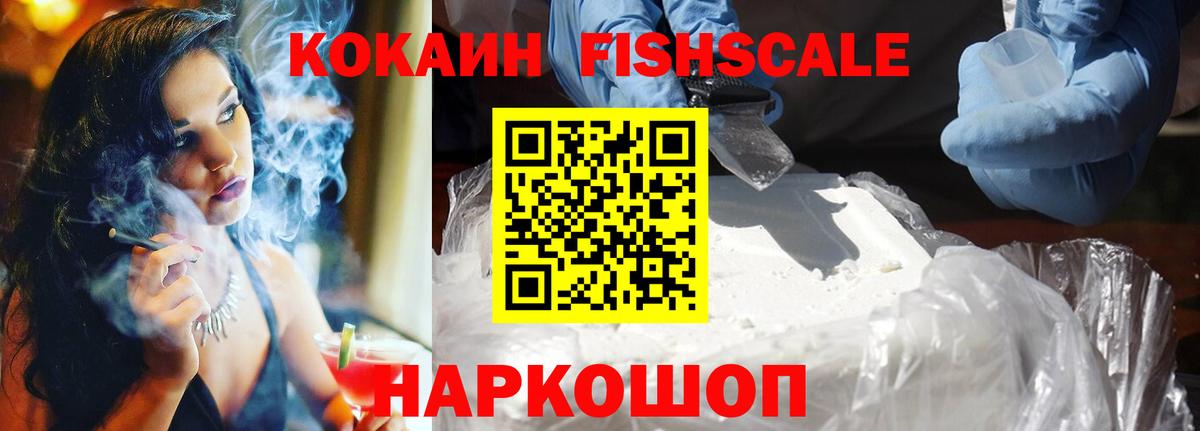 Cocaine Fish Scale  Вход с VPN  Cocaine  COCAIN VHQ  Тобольск 