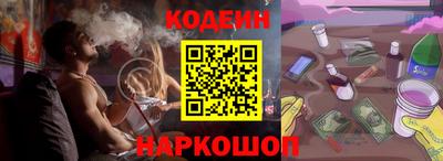 крисы Пенза