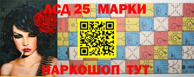 крисы Пенза