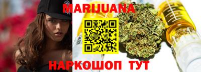 крисы Пенза