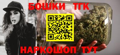 крисы Пенза