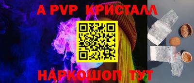 крисы Пенза