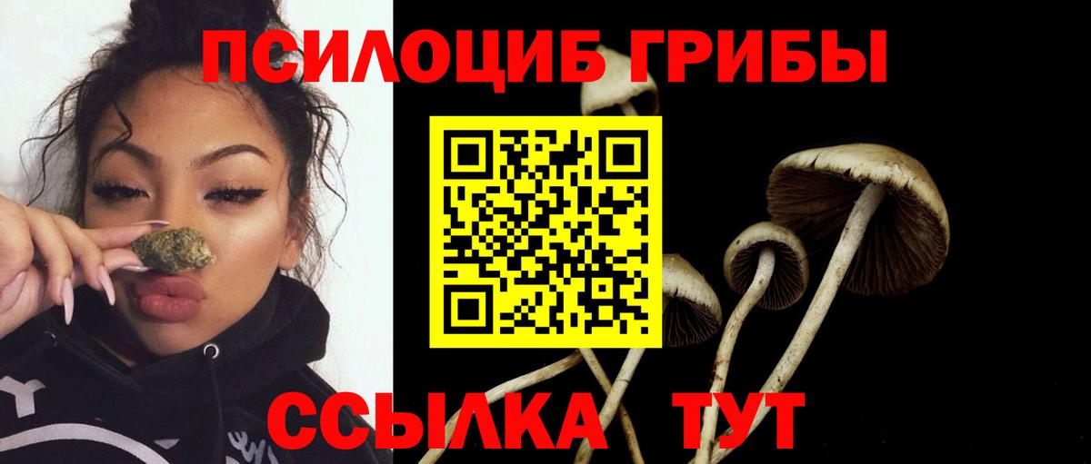 Псилоцибиновые грибы прущие грибы Тобольск